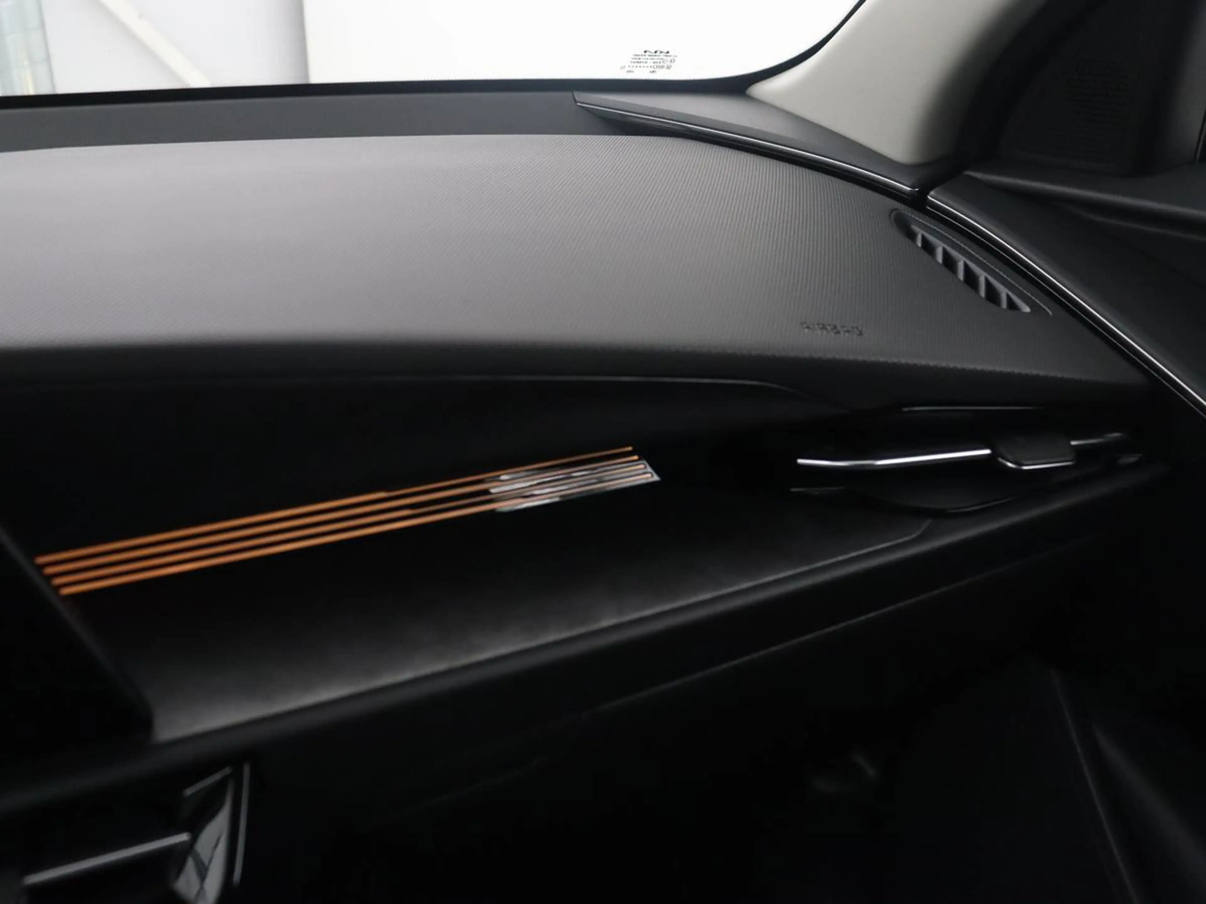 Kia e-Niro EV DynamicPlusLine 64.8 kWh | SOH 95,8% | Panorama — photo 34
