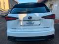 Lexus NX 300 F-SPORT*FACELIFT*STANDHZG*HUD*VOLL* Blanc - thumbnail 6