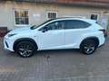 Lexus NX 300 F-SPORT*FACELIFT*STANDHZG*HUD*VOLL* Blanc - thumbnail 2