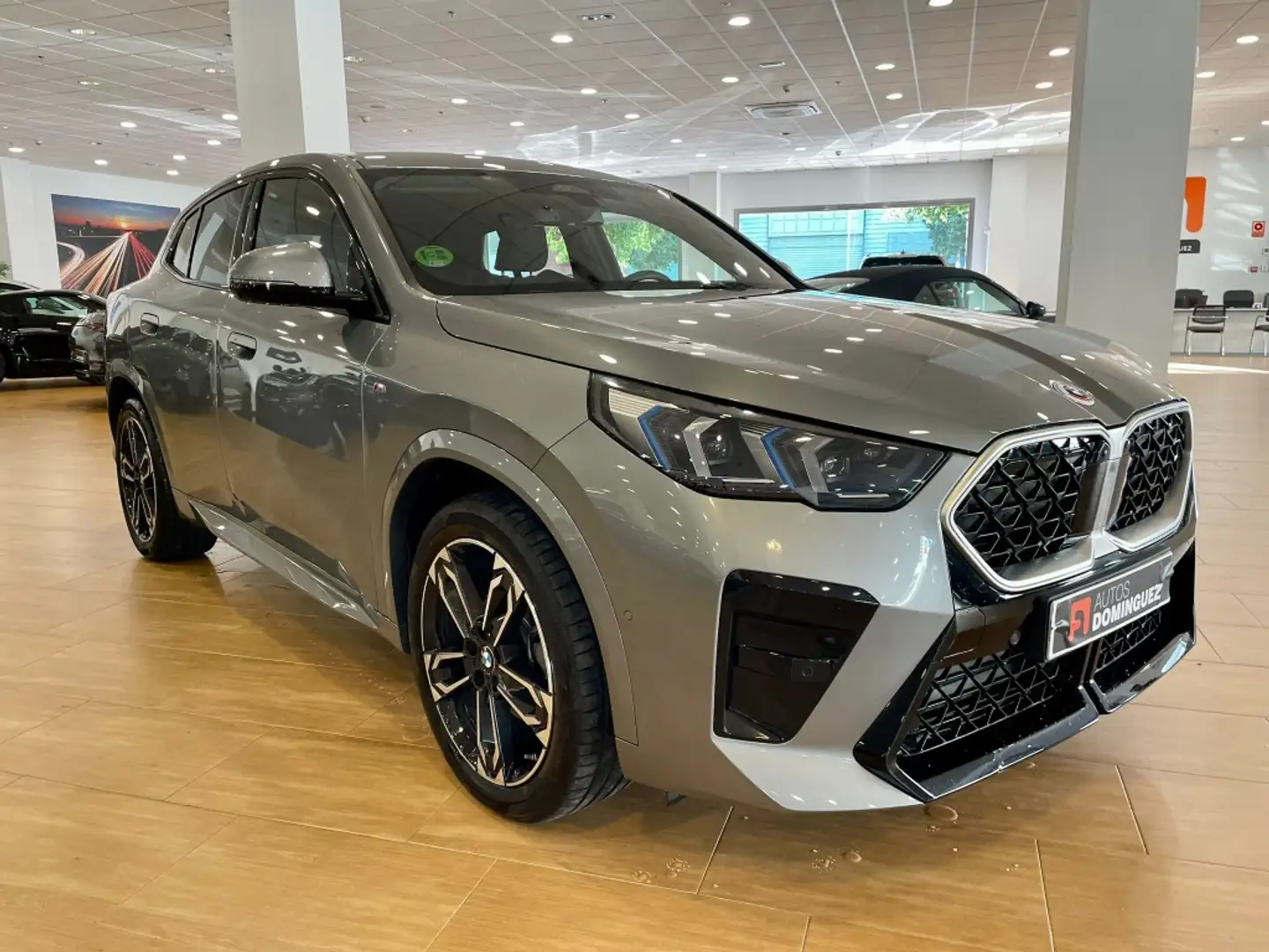 BMW X2 sDrive 20dA Gris - 2