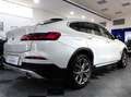 BMW X4 2.0d 190 CV XDRIVE20d XLINE Bianco - thumbnail 4
