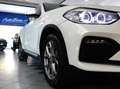 BMW X4 2.0d 190 CV XDRIVE20d XLINE Bianco - thumbnail 11