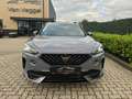 CUPRA Formentor 1.4 e-Hybrid VZ Copper Edition pano, half leer, cr Grau - thumbnail 13