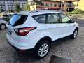 Ford Kuga 1.5 tdci Titanium 2wd s&s 120cv E6 Bianco - thumbnail 6