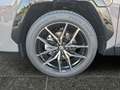 Toyota RAV4 5-Türer GR Sport 2.5 Plug-in Hybrid Automatik Grau - thumbnail 15