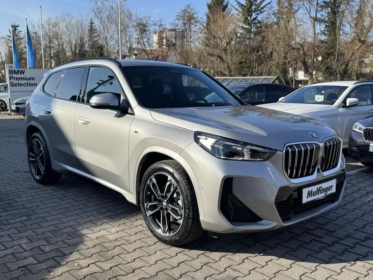 BMW X1 sDrive20i MSport DrivAssPlus+ParkAss HUD AHK Argento - 2