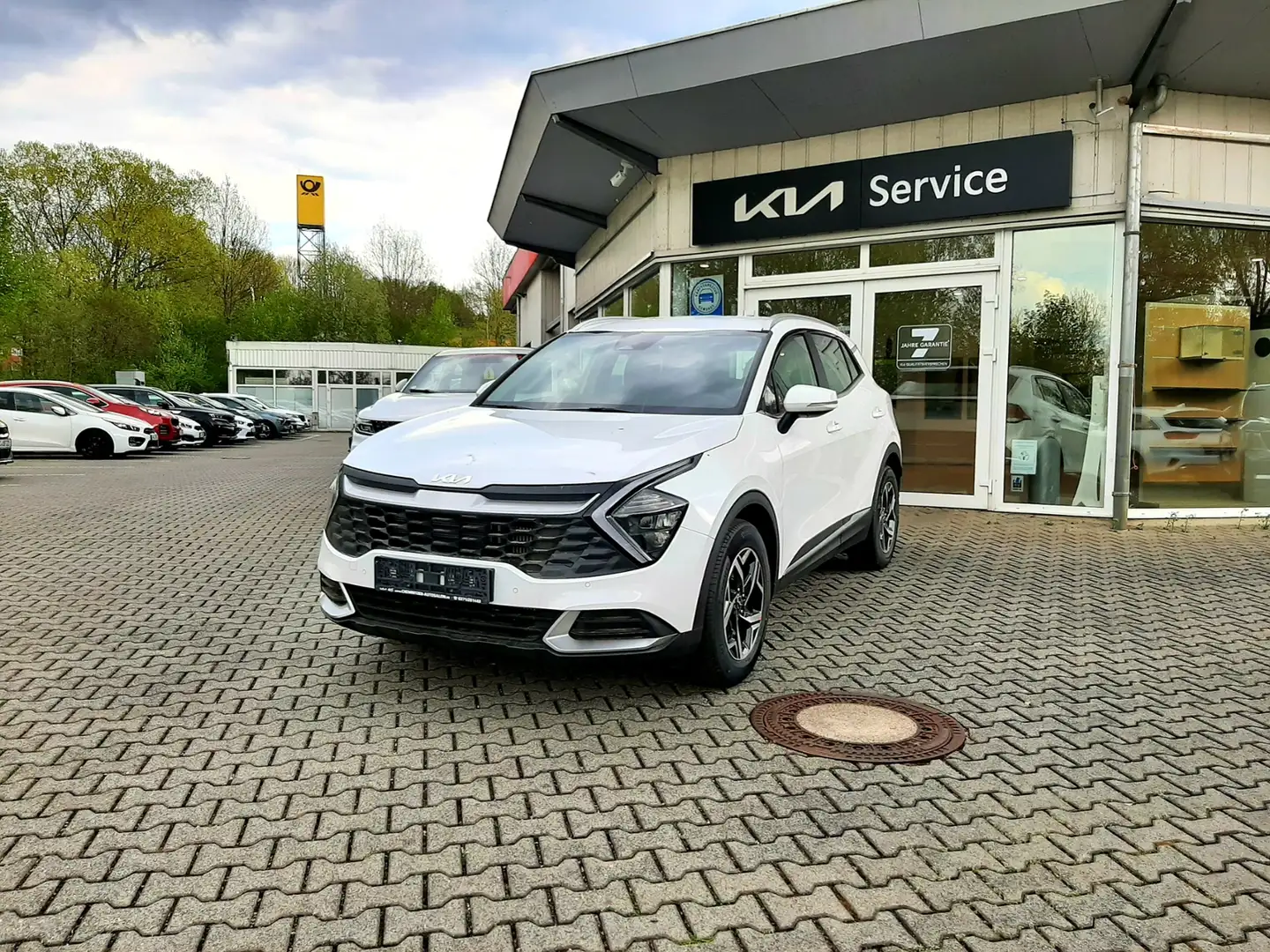Kia Sportage 1.6T 48V DCT LED NAVI MJ25 Blanco - 2