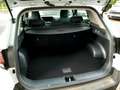 Kia Sportage 1.6T 48V DCT LED NAVI MJ25 Blanco - thumbnail 11