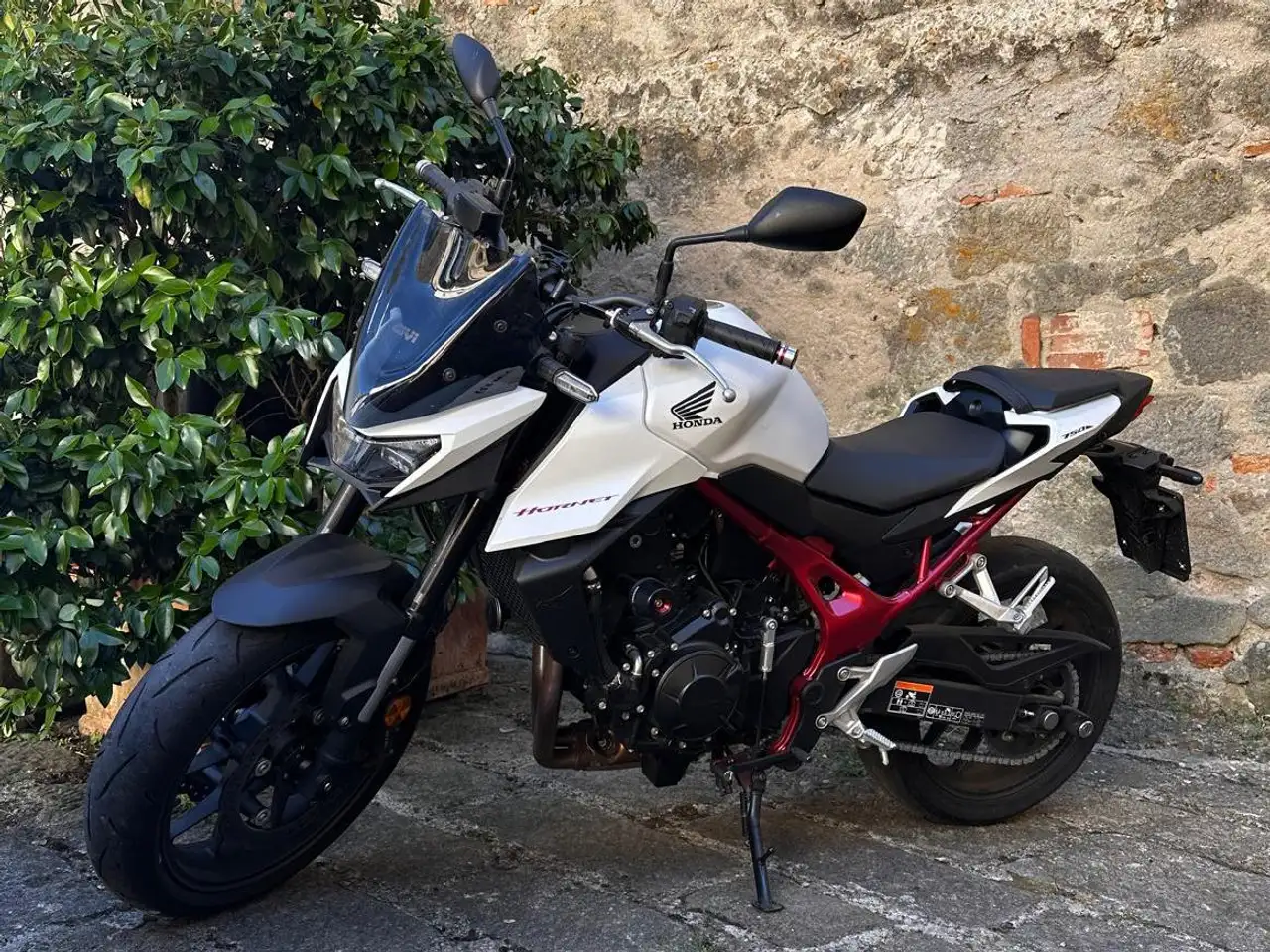 Honda Hornet