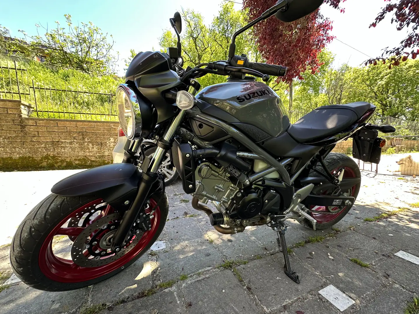 Suzuki SV 650 Nero - 2
