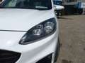 Ford Kuga St Line Blanc - thumbnail 11
