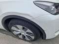 Tesla Model Y Long Range Dual AWD angemeldet: Übergabe August Weiß - thumbnail 8
