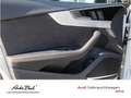 Audi A5 S line 40TDI qu. competition editio Weiß - thumbnail 9