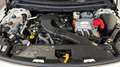Renault Rafale 1.2 E-Tech full hybrid 200cv Esprit Alpine Blanc - thumbnail 21