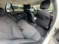 Mercedes-Benz C 220 d T Kombi 9G-TRONIC+Navi+Apple CarPlay+Kamera+AHK Weiß - thumbnail 33