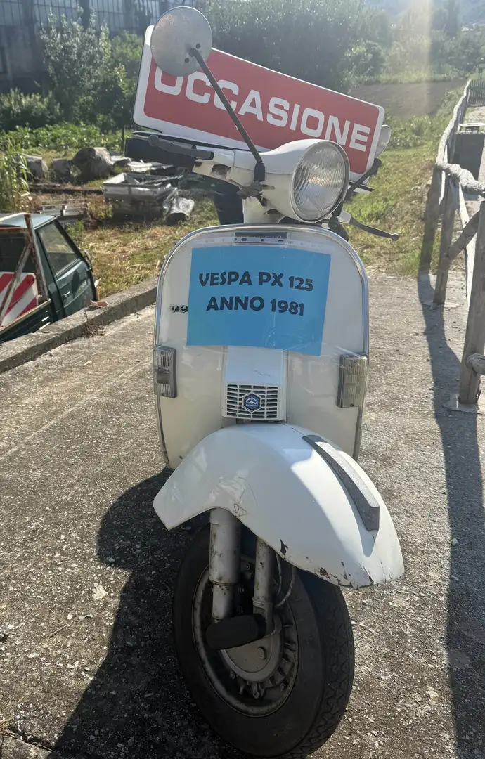 Vespa PX 125 Bianco - 1