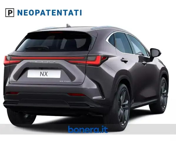 Lexus NX view 4