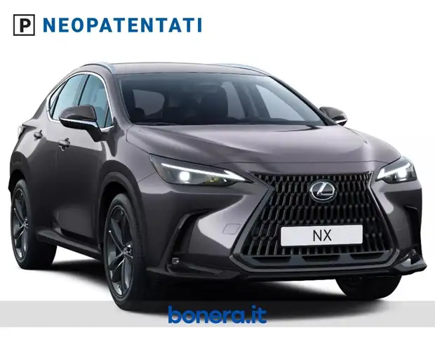 Lexus NX view 2