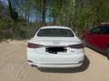 Audi A5 A5 Sportback 2.0 TDI quattro S tronic sport Weiß - thumbnail 6
