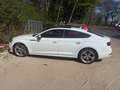 Audi A5 A5 Sportback 2.0 TDI quattro S tronic sport Weiß - thumbnail 7