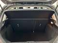 Ford Fiesta Fiesta 5p 1.1 Titanium 75cv Grigio - thumbnail 8