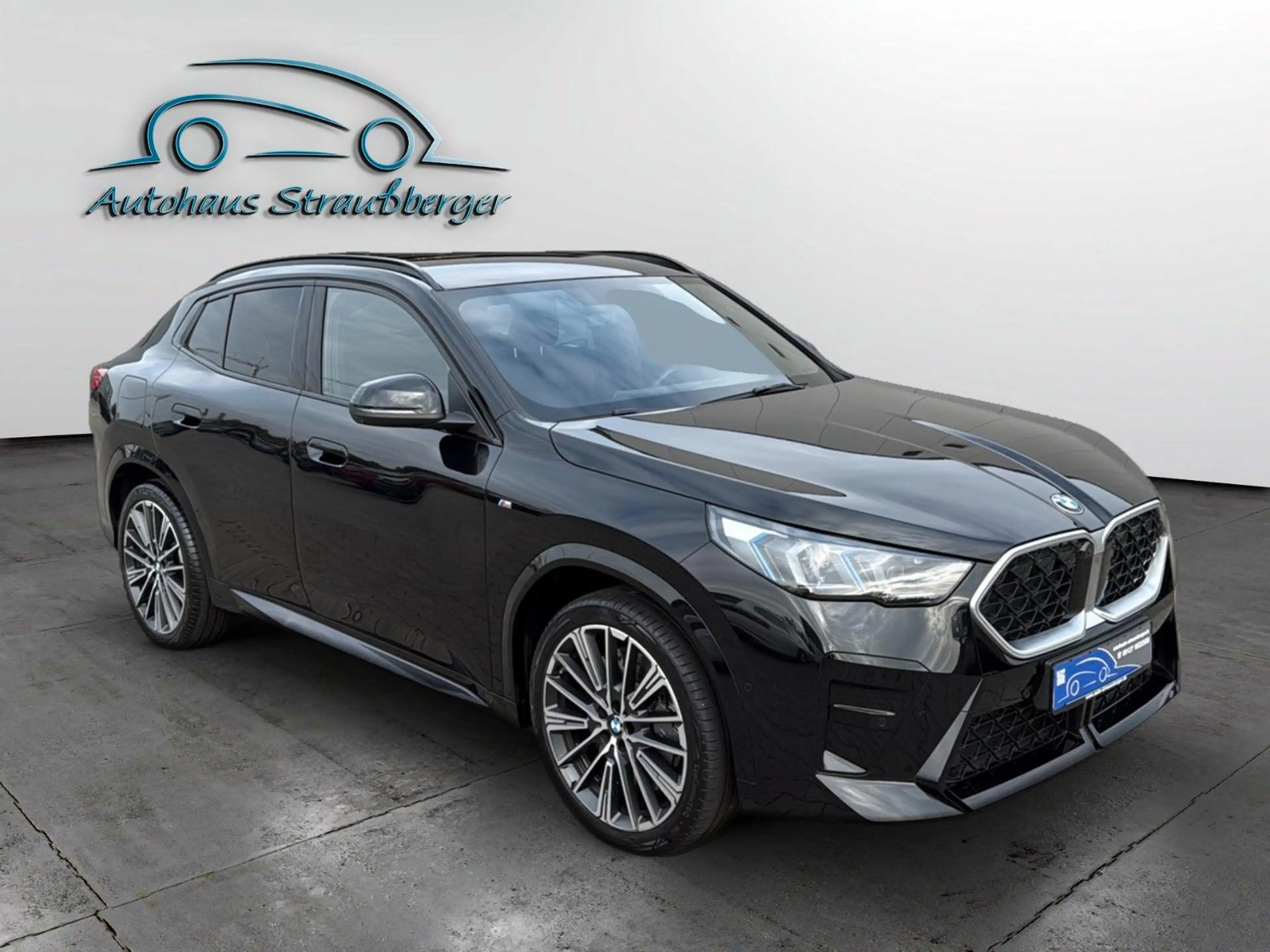 BMW X2 20xd M Sport ACC AHK KZU 2ZK RFK 360°adpt.LED — photo 6