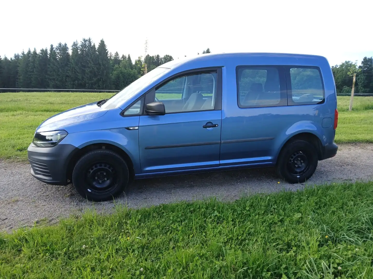 Volkswagen Caddy Caddy Kombi Family 1,2 TSI Family Blauw - 1
