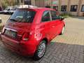 Fiat 500 500 III  1.0 hybrid Launch Edition 70cv Rosso - thumbnail 6