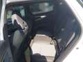 Renault Austral AUSTRAL Techno Full Hybrid E-Tech 200 Weiß - thumbnail 13