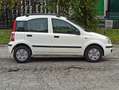 Fiat Panda Panda II 2003 1.2 dualogic NEOPATENTATI Bianco - thumbnail 4