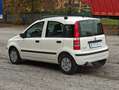 Fiat Panda Panda II 2003 1.2 dualogic NEOPATENTATI Bianco - thumbnail 7