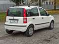Fiat Panda Panda II 2003 1.2 dualogic NEOPATENTATI Bianco - thumbnail 5