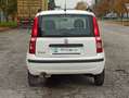 Fiat Panda Panda II 2003 1.2 dualogic NEOPATENTATI Bianco - thumbnail 6