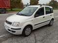 Fiat Panda Panda II 2003 1.2 dualogic NEOPATENTATI Blanco - thumbnail 23