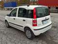 Fiat Panda Panda II 2003 1.2 dualogic NEOPATENTATI Blanco - thumbnail 28