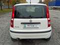Fiat Panda Panda II 2003 1.2 dualogic NEOPATENTATI Blanco - thumbnail 27