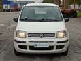 Fiat Panda Panda II 2003 1.2 dualogic NEOPATENTATI Bianco - thumbnail 2
