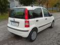 Fiat Panda Panda II 2003 1.2 dualogic NEOPATENTATI Blanco - thumbnail 26