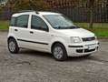 Fiat Panda Panda II 2003 1.2 dualogic NEOPATENTATI Bianco - thumbnail 3