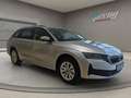 Skoda Octavia Combi - 115 PS - nur € 27.999,-* Grau - thumbnail 1