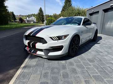 Shelby GT 350 Fastback