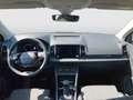 Skoda Karoq 4x4 Selection TDI DSG Grau - thumbnail 6