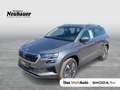 Skoda Karoq 4x4 Selection TDI DSG Grau - thumbnail 1
