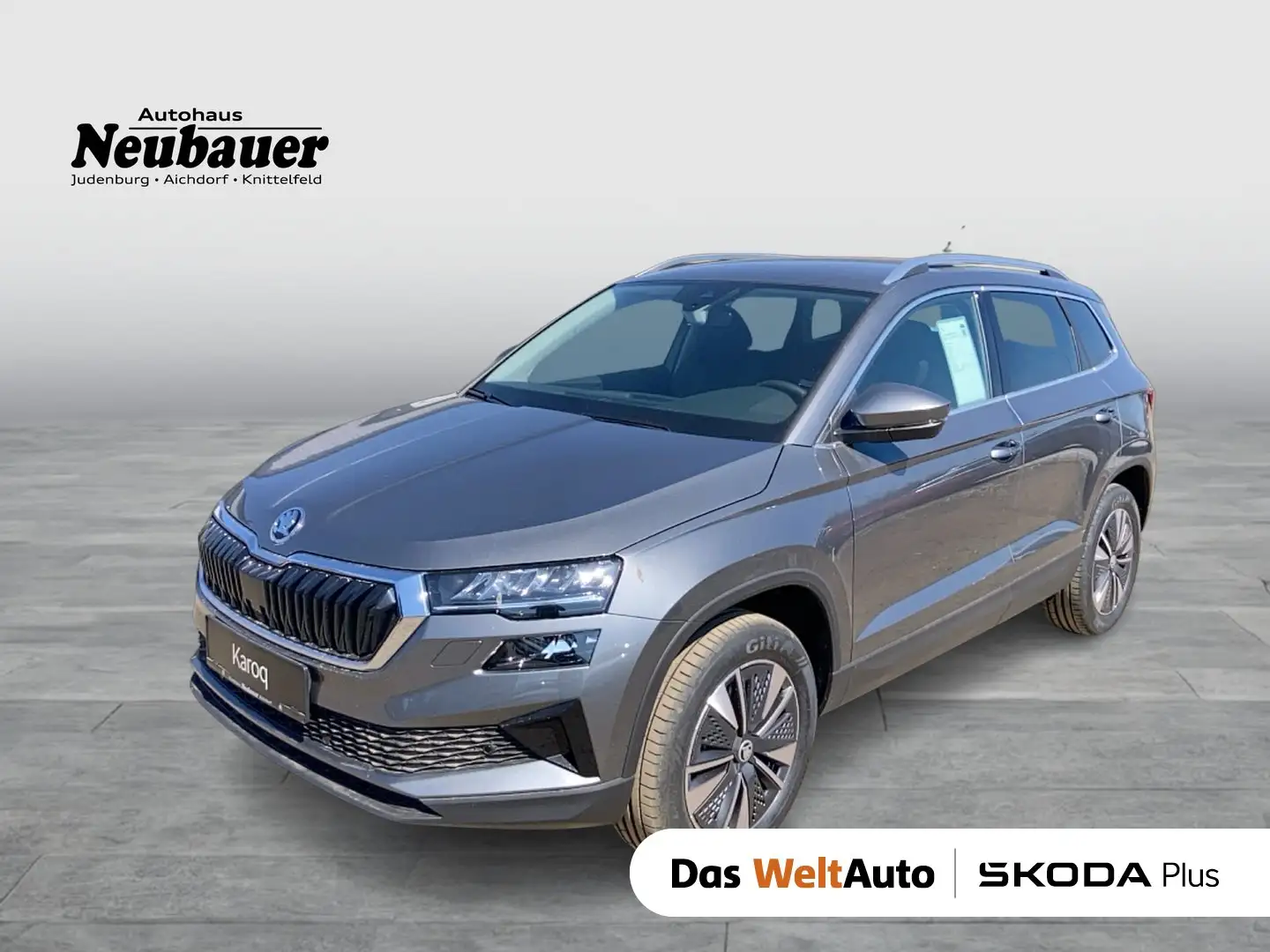 Skoda Karoq 4x4 Selection TDI DSG Grau - 1