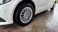 Mercedes-Benz C 180 C 180 T BlueTEC Exklusive Aut. Weiß - thumbnail 10