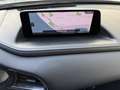 Mazda CX-30 2.0 e-SkyActiv-G M Hybrid Navi Camera Trekhaak Gris - thumbnail 15