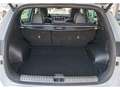 Kia Sportage 2.0CRDi VGT GT Line Plus 4x2 136 - thumbnail 19
