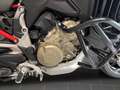 Ducati Multistrada V4 S - Zusatzscheinwerfer, Motorschu Rot - thumbnail 11