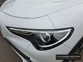 Alfa Romeo Stelvio Lusso Ti 2.0Turbo 16V AT8-Q4 Blanc - thumbnail 14