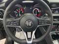 Alfa Romeo Stelvio 2.2 Turbodiesel 210 CV AT8 Q4 Super Goud - thumbnail 13